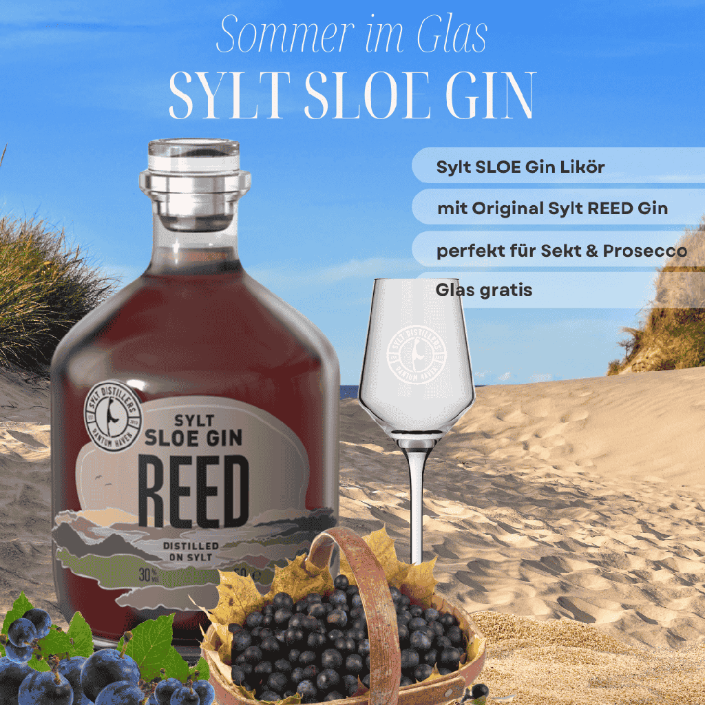 Sylt REED Sloe Gin Set  - Glas geschenkt! - Sloe Gin+Glas-